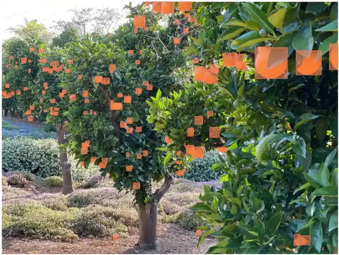 Image annotation for computer vision including bounding boxes polygons semantic segmentation keypoints and contour labeling
